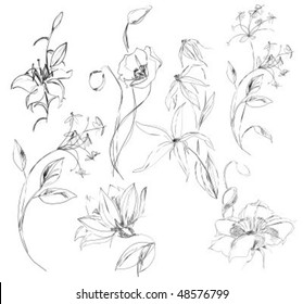 Vector Set Flower Images Stock Vector (Royalty Free) 48576799 ...