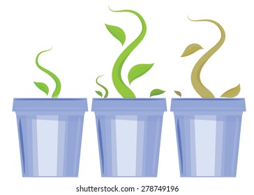 Vector set of flower pots. Shoots and death of plants