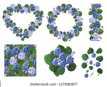 Vector set of flowering African violets (Saintpaulia) with flowers of different colors isolated on white background