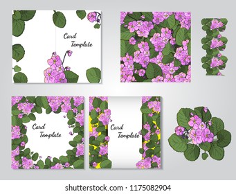 Vector set of flowering African violets (Saintpaulia) with flowers of different colors isolated on white background