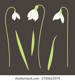 Vector conjunto de lirios florales del valle en estilo plano. 