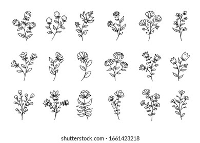 Vector set of flowers, black line art flowers, outline floral illustrations, flowers drawings