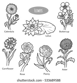 Vector set of flowers, black and white collection