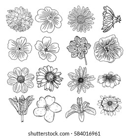 Vector set of flowers, black and white collection of hand drawn floral elements.