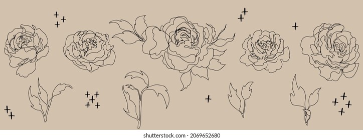 vector set of  flowers branches and leaves. Isolated botanical set. botanical floristic set contour flowers roses open buds . isolated minimalistic  flowers