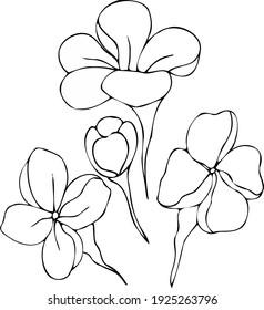 プルメリアの白黒の模様の花と芽のベクター画像セット ボタニカルイラスト 手描き のベクター画像素材 ロイヤリティフリー