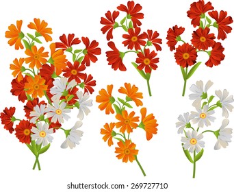 Vector set of flowers. Daisies, asters, calendula. Isolated.