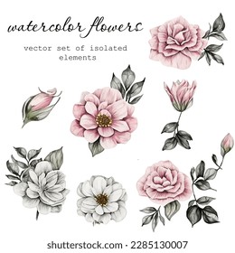 Vector set of flowers drawn in a watercolor style on a white background. All elements are isolated from one another.