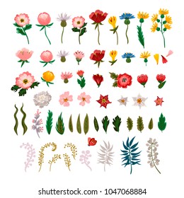 Vector set of flowers. Excellent for the design of postcards, posters, stickers and so on.