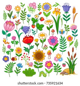 Vector set with flowers. Floral collection of insects and plants in the children's cartoon style.