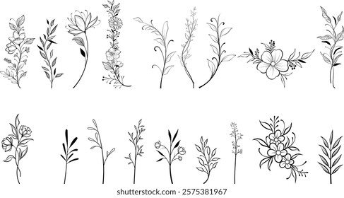 Vector set of flowers floral line art drawing. Minimalistic floral botanical leaves for wedding invitations save the date card