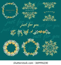 Vector set with flowers and frames for your design