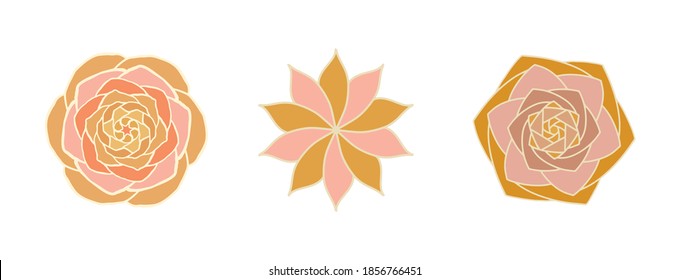 Vector set of flowers. Gold exotic succulents on a white background isolate. Floral drawn print style. Vector illustration with botanical elements. Stone rose.