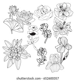 Vector set of flowers hand-drawing collection black and white flowers Monochrome illustration