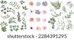 Vector set of flowers and herbs. Pink roses, white anemones, succulent, flowers and plants on a white background.  Collection of greenery, eucalyptus.