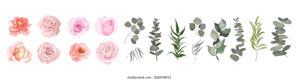 Vector set of flowers and herbs. Pink roses, various plants, leaves, grass. Collection of greenery, eucalyptus.