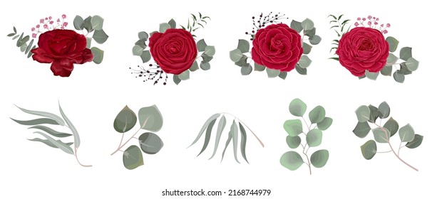 Vector set of flowers and herbs. Red roses, Ranunculus, various plants, leaves, grass. Collection of greenery, eucalyptus.