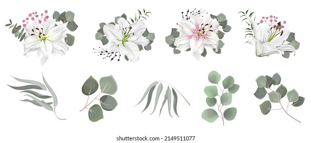 Vector set of flowers and herbs. White lily, various plants, leaves, grass. Collection of greenery, eucalyptus.