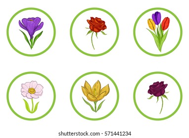  vector set flowers icons, rose, crocus, tulip, anemone