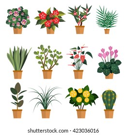 Vector set of flowers. Illustration with different types of pot flower icons isolated on white background.