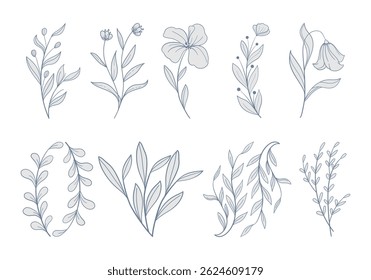 Conjunto vetorial de flores ilustração de plantas de vários tipos de flores, galhos ou ramos com folhas pequenas que são simples, minimalistas e dão uma impressão natural, pode ser usado para decorativos