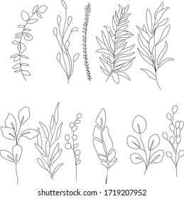 conjunto vectorial de flores y hojas, contorno, negro y blanco