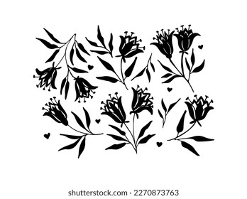 Vector set flowers  and leaves tulip , hand drawn monochrome artistic botanical illustration. Isolated floral elements, grunge dry paint brush strokes on white background.