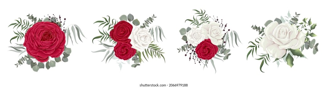 Vector set of flowers and leaves. White and red roses, berries, eucalyptus, green plants and leaves. Composition of flowers isolated on white background