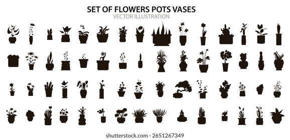 Vector set of flowers in pots and vases. Cute houseplants in doodle style.