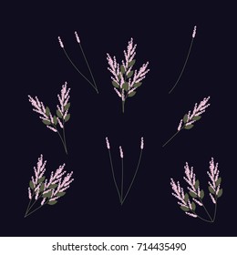 Vector set of flowers. Simple Bouquets