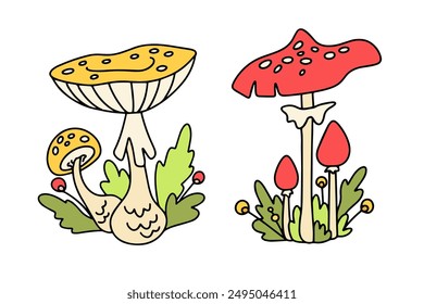 Vector set of fly agaric mushrooms. cartoon drawing of poisonous red and yellow mushrooms. Mushrooms and berries in the grass. Element for design
