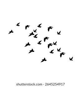 Vector set of flying bird silhouettes on white background, perfect for tattoos or nature-themed art, symbolizing freedom and elegance.