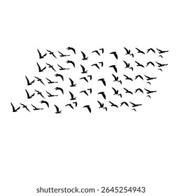 Vector set of flying bird silhouettes on white background, perfect for tattoos or nature-themed art, symbolizing freedom and elegance.