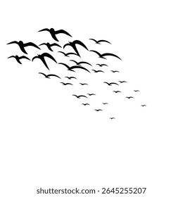 Vector set of flying bird silhouettes on white background. Perfect for tattoos, nature art, and symbolizing freedom.