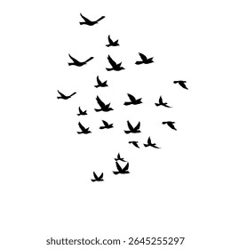 Vector set of flying bird silhouettes. A flock of wild birds in flight against a white background, ideal for tattoo designs, minimalist decor, or nature-themed artwork. 