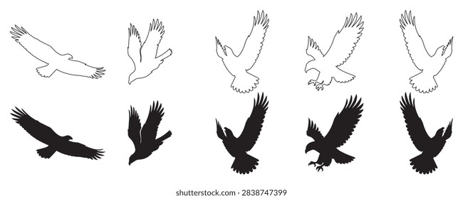 Vector set of flying eagle and hawk silhouettes including black solid shapes and line art outlines in various flight poses