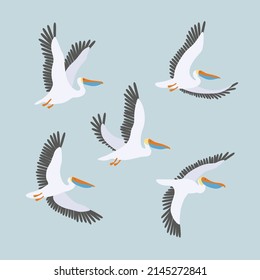 Vector set with flying pelicans on a blue background. Graphic print with sea birds.