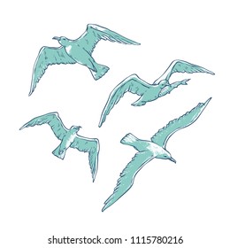 Vector set flying seagulls. Bird gull angler monochrome outline sketch illustration isolated on white background for design of tourist cards logos on marine theme.