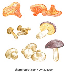 vector set of food drawing by color pencil, doodle mushrooms, hand drawn  elements