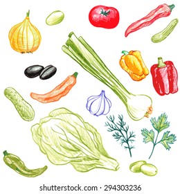 vector set of food drawing by color pencil, doodle vegetables,  hand drawn elements