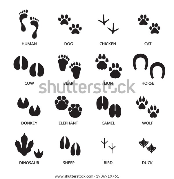 Vector set of footprint of different animals\
and human. Paw print\
collection
