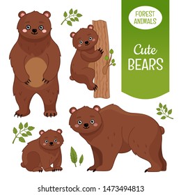 Vector set of forest animals. Cartoon illustration of cute bears.