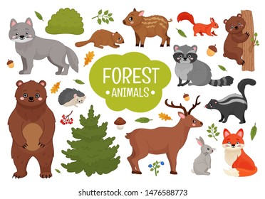 Vector set forest animals. Illustration of cartoon cute animals.
