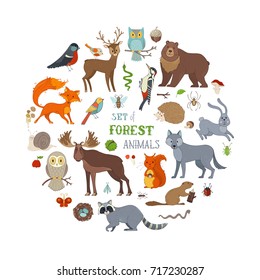 Vector set of forest animals isolated on white background. Hedgehog, wolf, beaver, deer, fox, owl, hare, snail, squirrel. Zoo cartoon collection for children books, birthday invitations and posters.