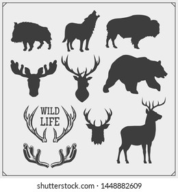 Vector set of Forest animals silhouette. Hunting club design.