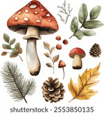 vector set of forest botanical watercolor set with mushrooms, leaves and pine cones on white
