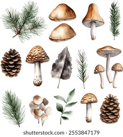 vector set of forest botanical watercolor set with mushrooms, leaves and pine cones on white
