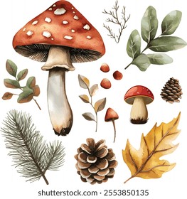 vector set of forest botanical watercolor set with mushrooms, leaves and pine cones on white