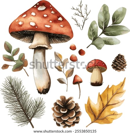 vector set of forest botanical watercolor set with mushrooms, leaves and pine cones on white