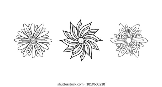 Vektorset aus Waldblumen. Farbbuch für Erwachsene. Handgezeichnete Arbeit mit einer dünnen anmutigen Linie. Böhmisches Liebeskonzept für Hochzeitseinladung, Kartenticket, Branding, Boutique-Logo-Label. Schwarz und
